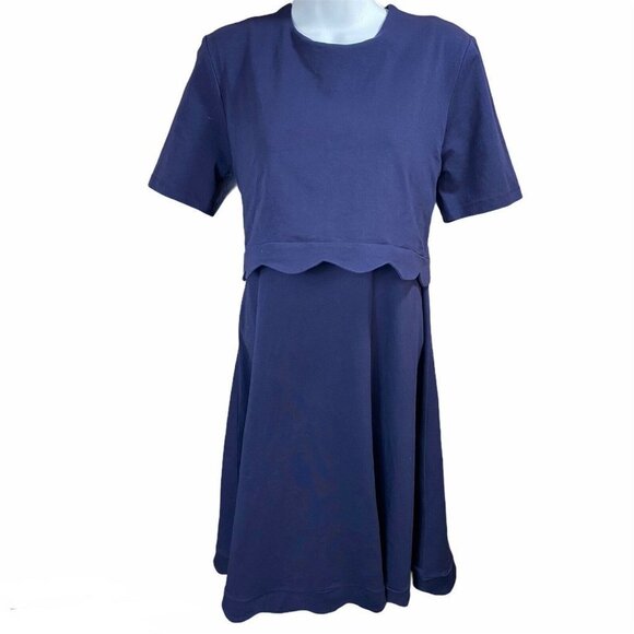 ASOS Dresses & Skirts - ASOS Maternity NWT Size 8 Blue Dress